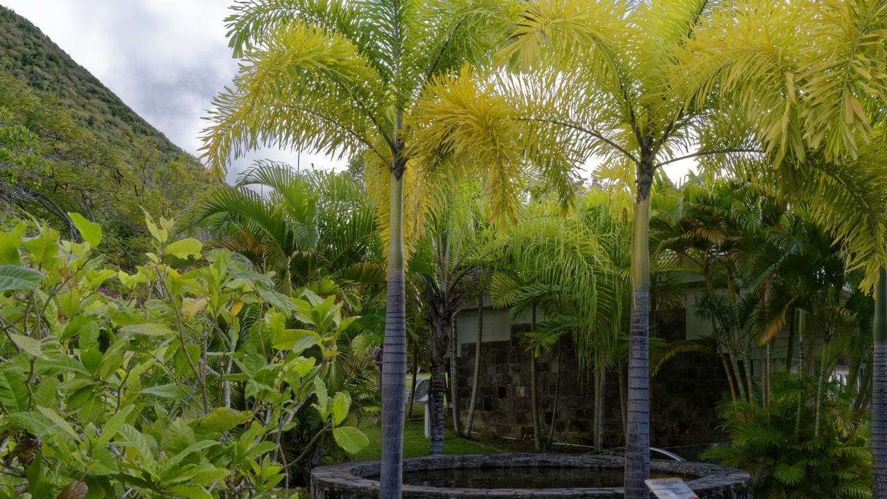 20170213 091841•Trinity•Trinity Palmetto Point•Saint Kitts and Nevis